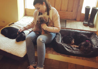 Sophie sitting with rescue dogs